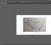 Adobe_Illustrator-4