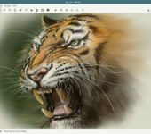 mypaint-1
